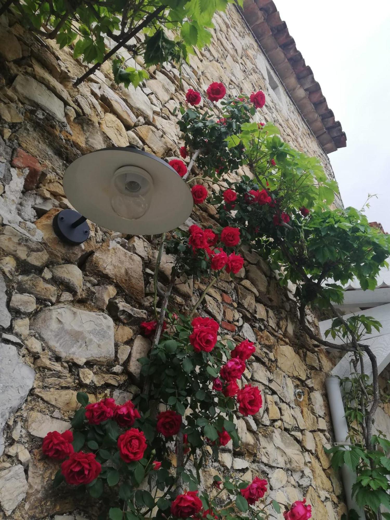 Magnanerie Le Mas D'Elise Boisset-et-Gaujac Luaran gambar